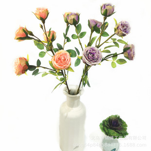 6�^������Сõ�����õ����^Сõ��Ҿ��bٻ��������Sֱ�N