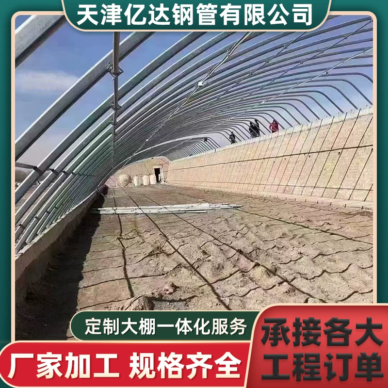 Новый скелет для овощной теплицы, простая одиночная теплица, арочный сарай, цветочная теплица, посадка, овальный оцинкованный скелет, теплица