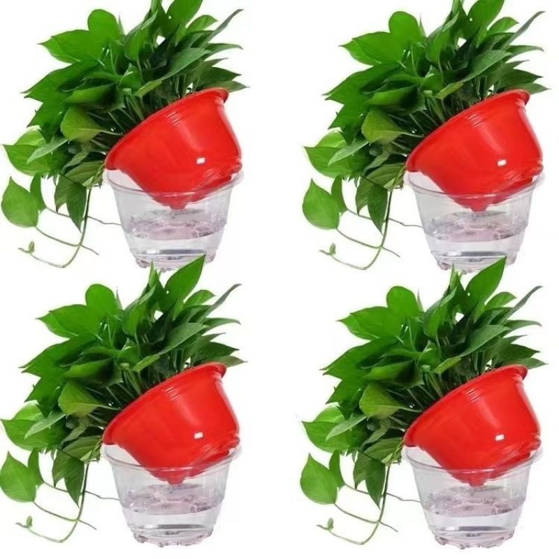 다채로운 붉은 화분 60개, 화분 4개 + 흡수성 화분 + 액체 2개