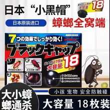 日本强效灭蟑螂药家用室内无毒一窝端斩除根厨房杀蟑神器小黑屋