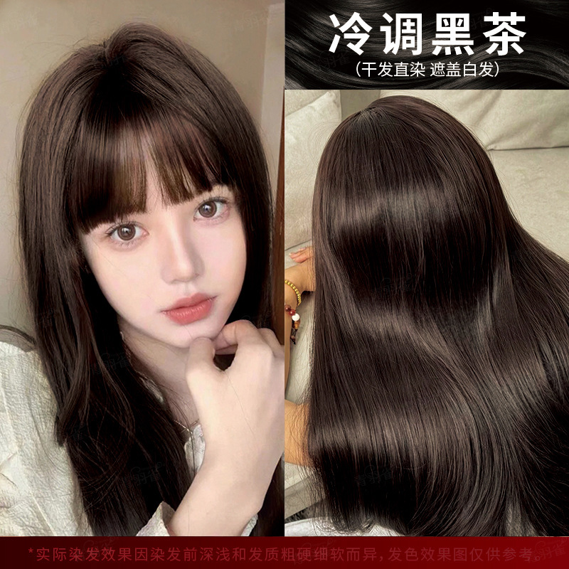 녹색 깃털 새 살롱 다크 브라운