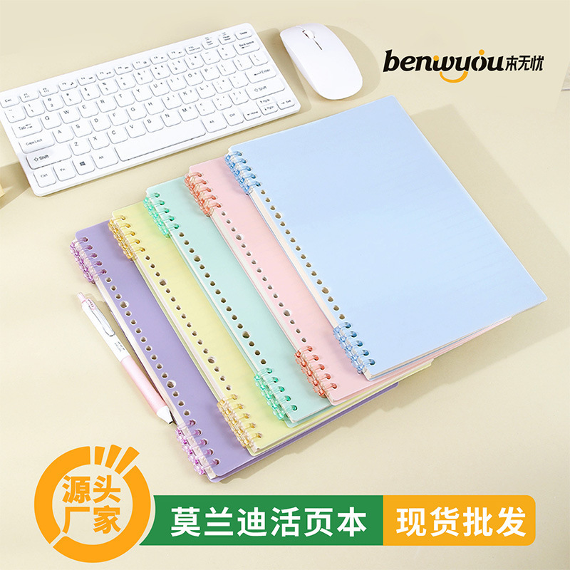 This Worry-Free Loose-Leaf Notebook B5 Morandi Style, Non-Slip Coil-Bound Notebook A5, Detachable Notepad for Middle School Students This Worry-Free Loose-Leaf Notebook B5 Morandi Style, Non-Slip Coil-Bound Notebook A5, Detachable Notepad for Middle School Students