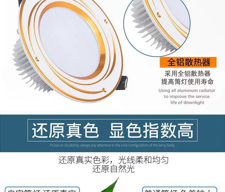 d5b465e3-a2ea-44ac-bf20-ff444d244594.jpe