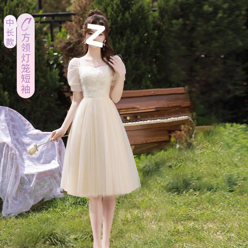 샴페인 나비 신축성 있는 허리-C 중간 길이 스타일