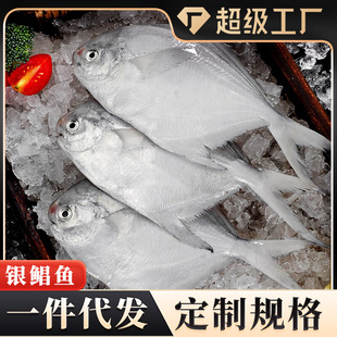 �r���y�K�~����ƽ�~�������K�~���rˮ�a�������l���l�����N��