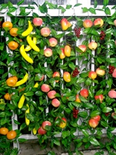 ˮ���ٗlֲ���������ϻ��پGֲ�r�Ҙ�ˮ�������bٻ��ڒ�