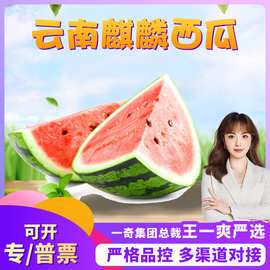 【严选+】云南麒麟西瓜 代发3/9斤整个新鲜沙瓤剥皮多汁应季甜瓜
