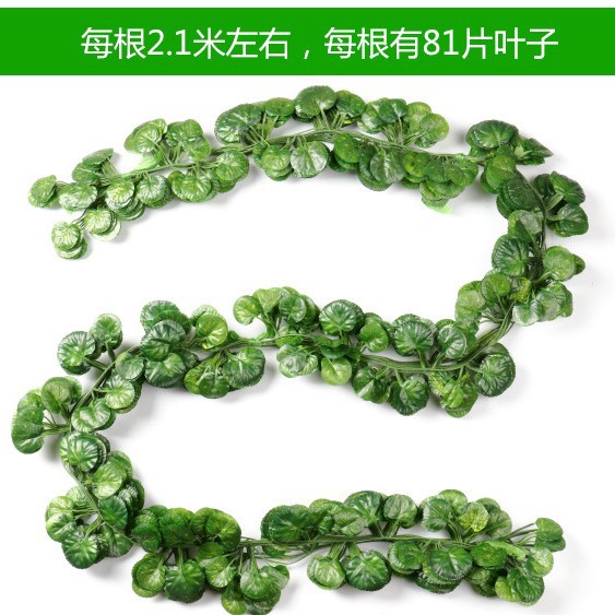 81 piezas de hojas de Begonia 1 paquete (12 piezas)