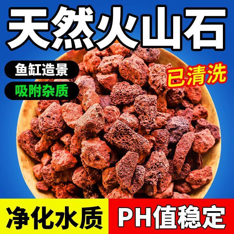 Частицы вулканического камня, брусчатка, сочный почва, орхидея, аквариум, дно аквариума, фильтрация воды, натуральный вулканический камень, цельный