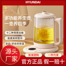 HYUNDAI养生壶家用多功能小型全自动办公室烧水壶加厚玻璃煮茶壶