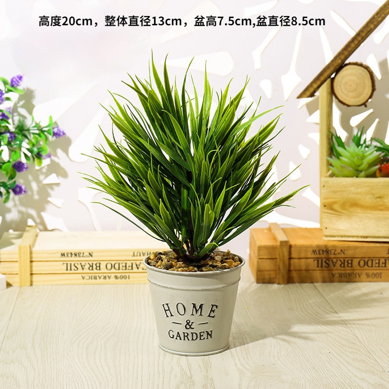 JH097 hierba de hierba de hierba de hierba ☆