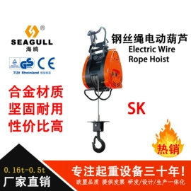 起重葫芦;起重装卸设备;起重滑车