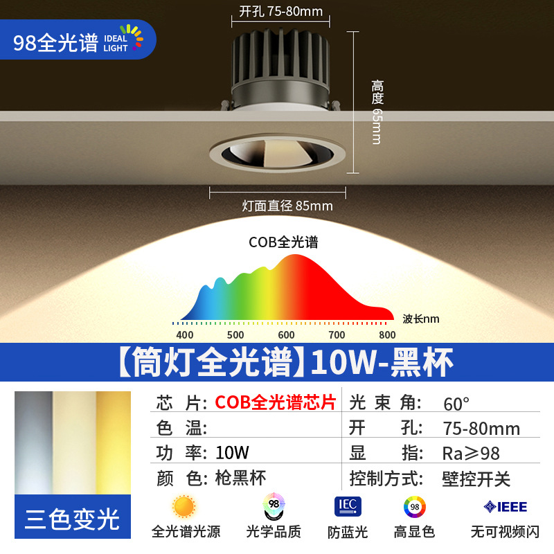 [full spectrum downlight] 10w-black cup