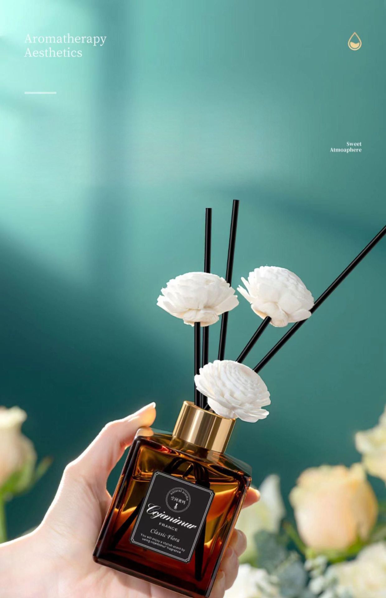 31818815612391c10aac58008dda42