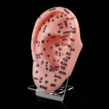 ��ʯ17CM��Ѩλģ�ʹ�֧�ܶ��䷴������Ѩѹ���Ʒ�ģ�߱�Яʽ����