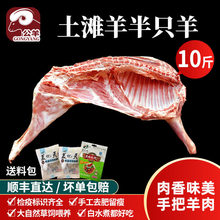 ��ֻ����C������������r�F����ֻ������������������؛�Y��