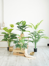 ?�Gֲ�[�������������~�ӿ͏dС�����ֲ���p���҃ȼٻ�