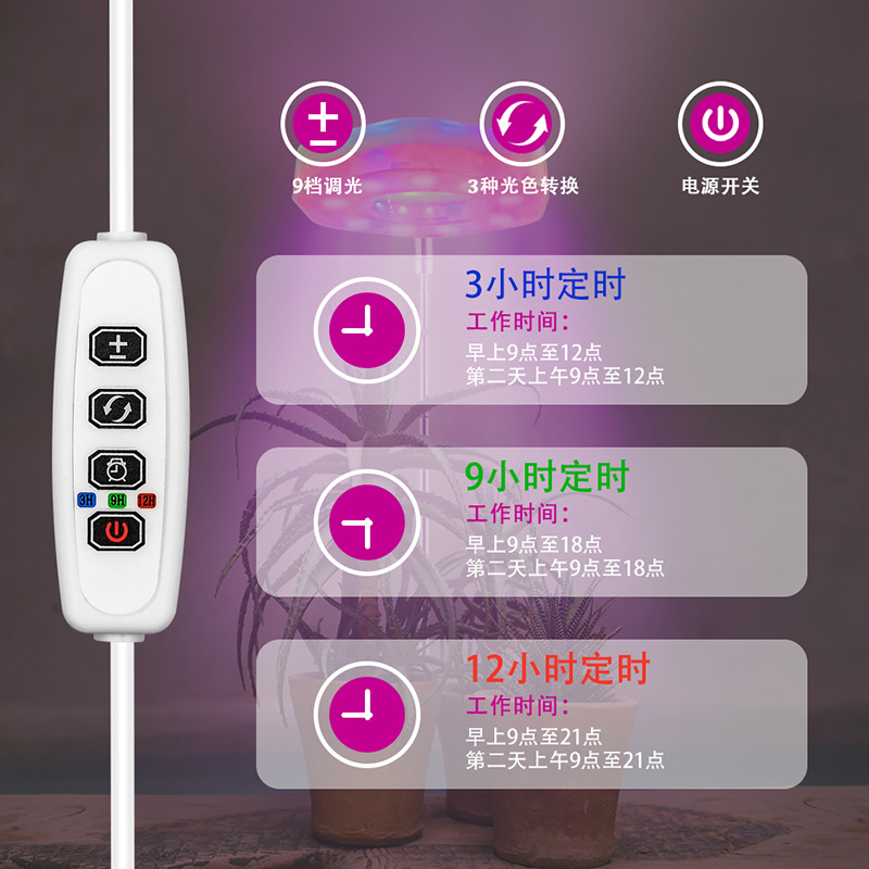 新款私模多肉补光灯USB地插式全光谱LED花卉盆景植物灯生长跑马灯