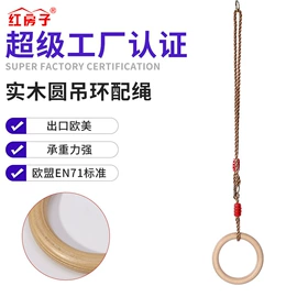 秋千;其他游艺设施;游艺设备