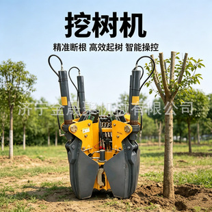 �ژ�C�İ굶Ƭ�����и������R����@�ִ�������Ø�ľ��ֲ�C