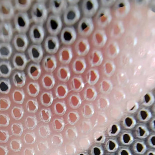 �ӹ�����a�����ʹ��Ĥ С�׾�Ĥ ΢����Ƭ�ۯBĤ ᘿ�Ĥ ���Ĥ