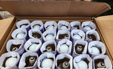 �Ϻ����o����������߉������ɹ��Թ���E27�ݿ�125��