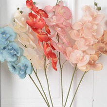 ��c�������ú����m����ˇ�OӋ�ٻ��Ƶ�廨�����[���������滨ˇ