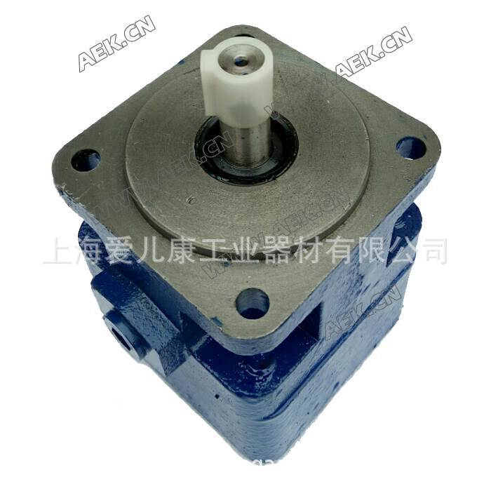 供应YB1-4 YB1-6.3 YB1-10 YB1-12 YB1-16YB1-20 YB1-25YB1叶片泵