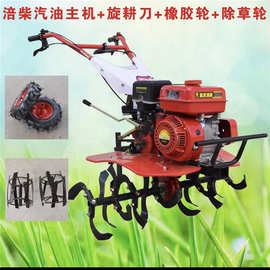 苹果园用低矮型开沟施肥旋耕机 农用小型汽油旋耕除草机图片