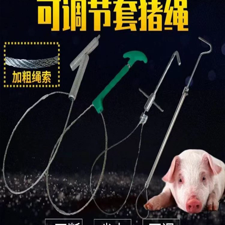 。 Металлическое устройство для удержания свиней, поводок для свиней, ловушка для свиней, ветеринарное инъекционное устройство для ловли свиней, устройство для удержания рта свиньи, инструмент для ловли свиней.