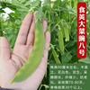 Beidou Seven -Star Grand Silkworm Bean Seed Seeds Seeds High -yield Spring, Summer Autumn and Winter Four Seasons Balcony Vegetable Laibi Seed