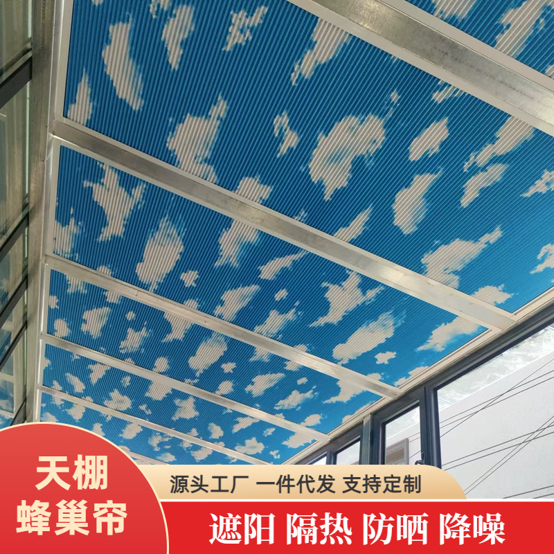 阁楼天窗遮阳帘阳光房斜屋顶推拉窗户遮挡蜂巢帘遮光防晒电动窗帘