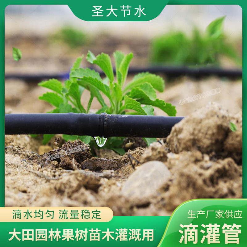 圓柱式滴灌管廠家 圣大節水生產農田果樹苗木園林綠化灌溉滴水管作用