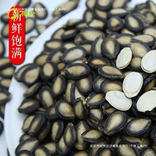 生西瓜子大片 散装新货兰州大板黑瓜子原味打瓜籽大颗粒5斤包kb