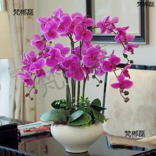 �����m���玧���������������m������͏d�҃�ֲ�ﻨ���ļ����B��