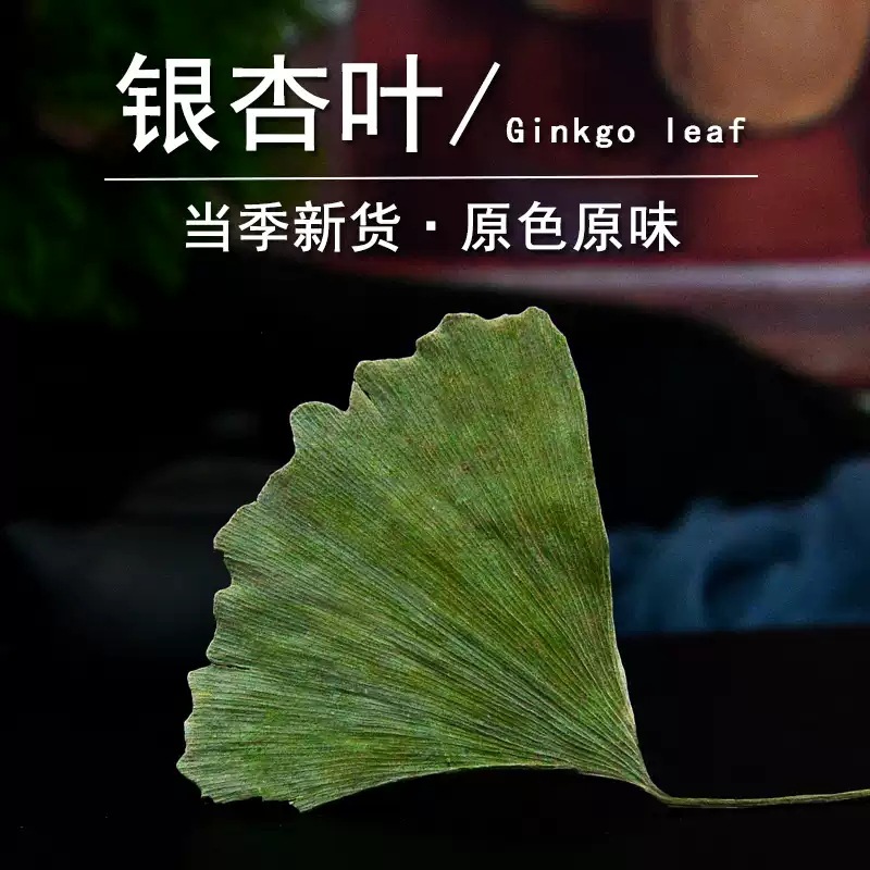 Dried Ginkgo Leaf Ye Xing Ye 500g Natural Sun Dried Herb for Tea and Infusions specifications