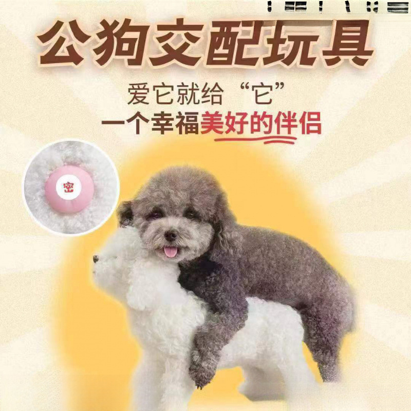 公狗交配发泄玩具女朋友泄火伴侣泻火泰迪比熊狗狗骑跨伴侣用