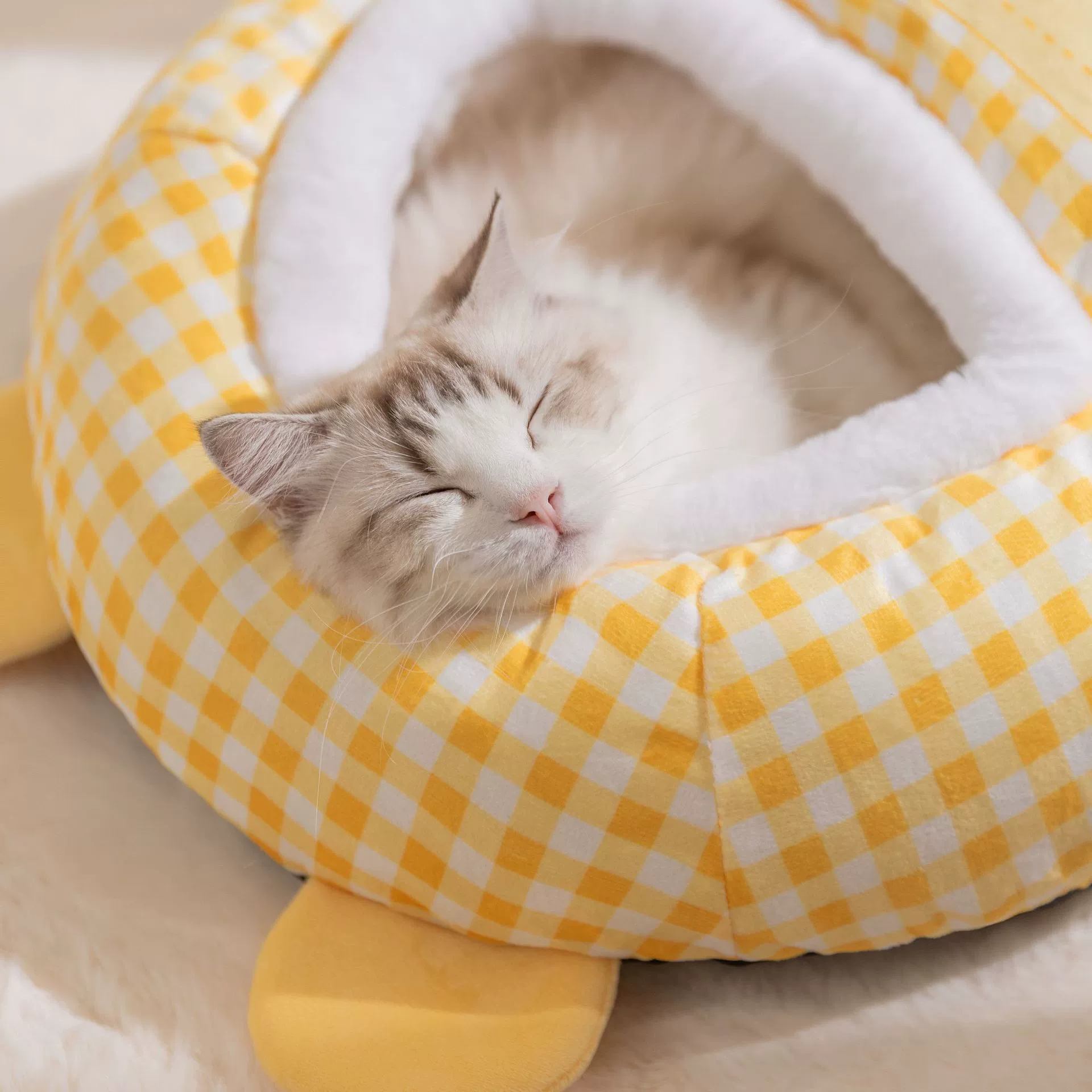 Keep warm safe sleeping bag, cat, kitten