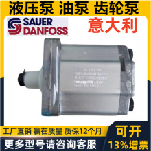 SAUER BIBUS����˹DANFOSS�X݆��SNP2 SNP1NN SNP3 Һ���ͱ��R�_