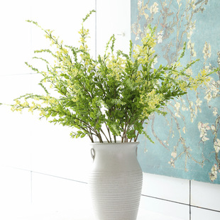 ���滨���K�� ��@�L�Ҿ��b�����β��ֲ�����K�� ��β��