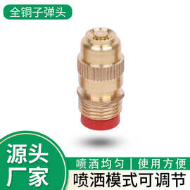 全铜可调子弹头园林绿化灌溉雾化喷嘴道路除尘降温浇水黄铜喷头