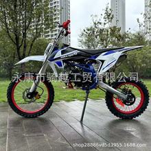 两轮越野摩托车125cc电启动14-17轮高配款沙滩车卡丁车自行车碟刹