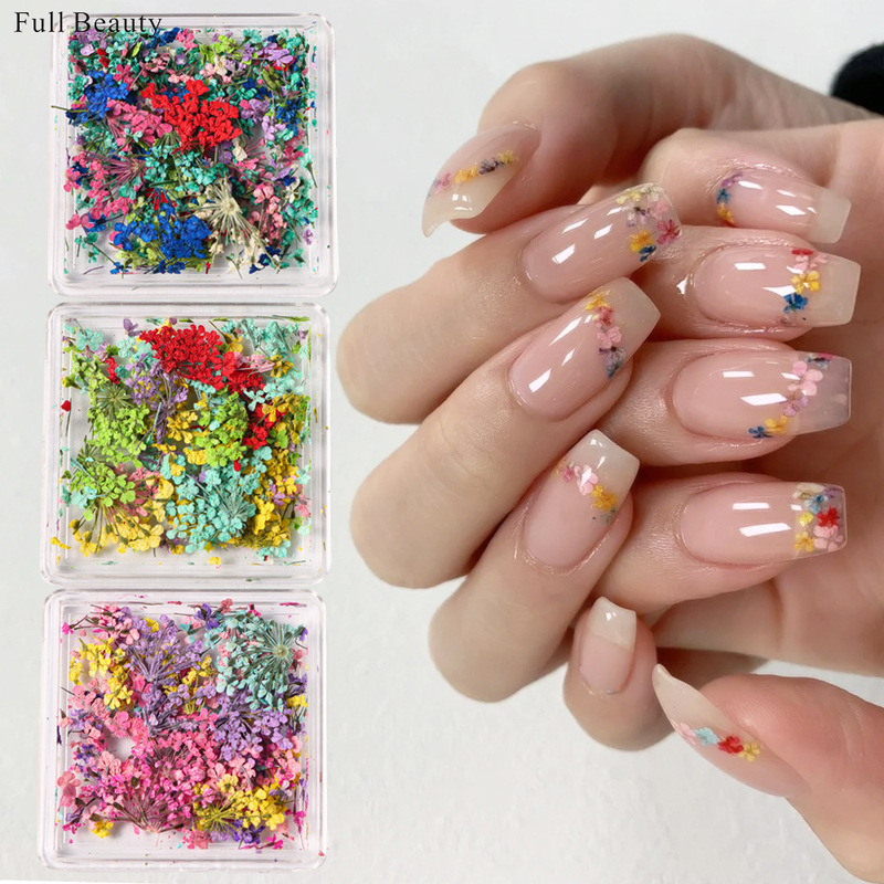 Cross-border New Star Sunflower Nail Art Dried Flowers Mixed with Star Small Floral Boxed Jewelry Nail Real Flowers Cross-border New Star Sunflower Nail Art Dried Flowers Mixed with Star Small Floral Boxed Jewelry Nail Real Flowers
