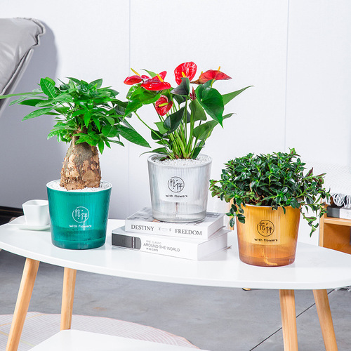 Meixuan Colored Planter Self-Watering Lazy Glass-Like Simple Durable Breathable Pothos Thick Resin Pot