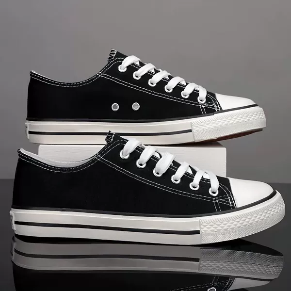 Black-basic model