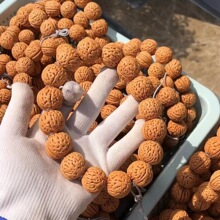 ��ȻҰ��ɽ�Һ��Һ��ִ������ܼy�X�y�Һ��ְ������Ů�Һ��ִ�