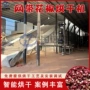 烘干自动带网带干燥机