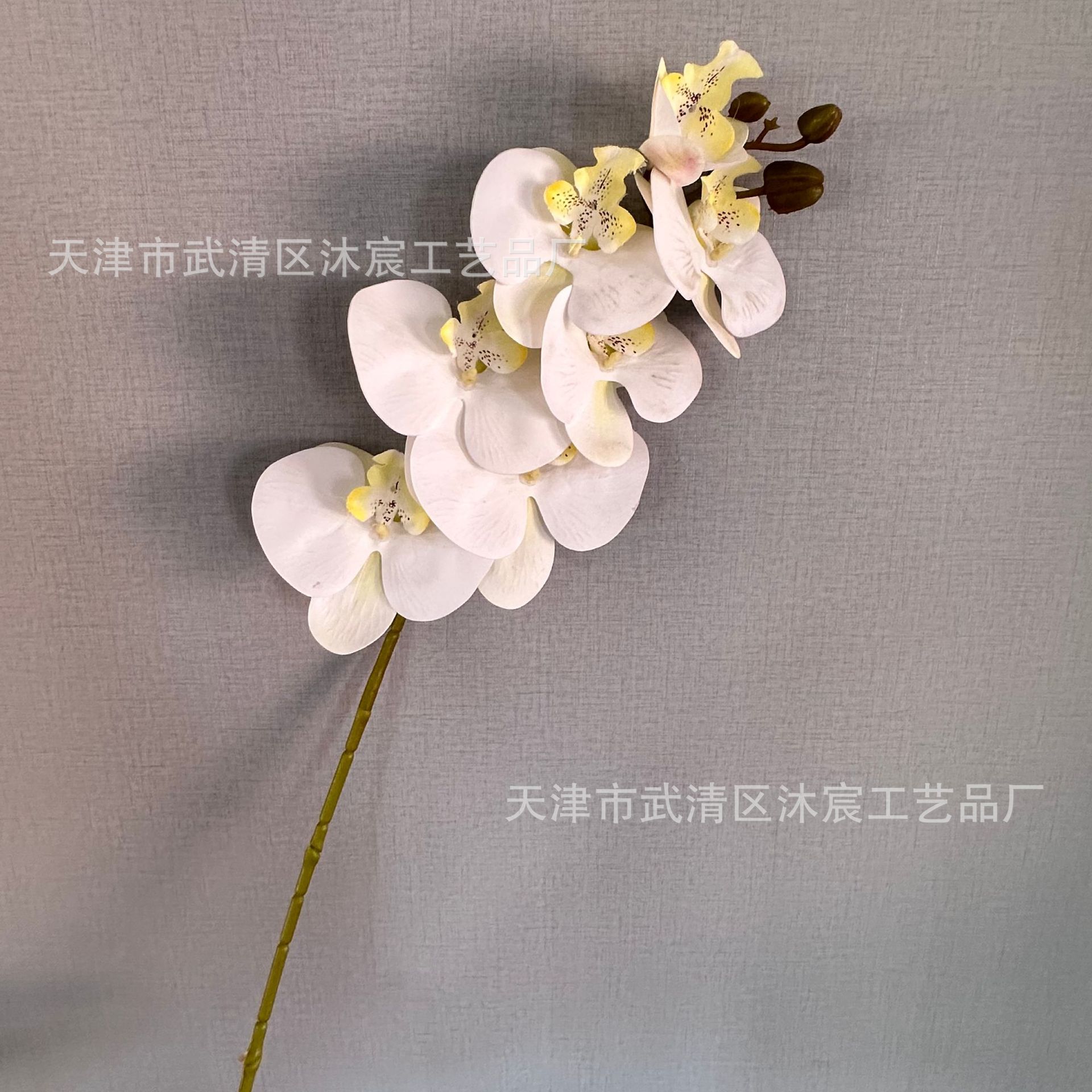 3D 7-cabeza Phalaenopsis mano-sensación de película Phalaenopsis venta al por mayor boda hogar decoración floral tiro flor material