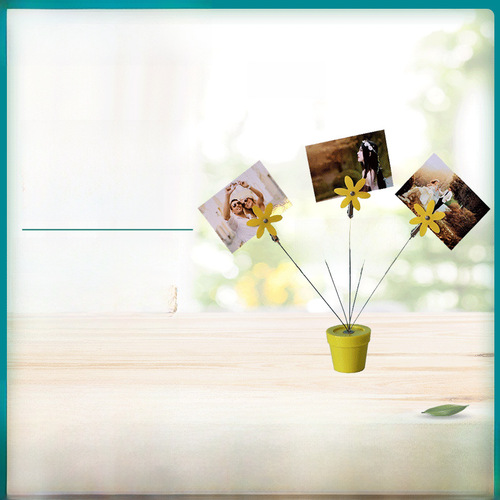 Factory Direct Supply INS Creative Design Home Decor Desk Decor Colorful Plastic Flower Pot 5-Head Flower Photo Clip