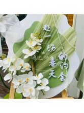 �׃��@�_�W��Y�xʽ�зՇ��������ü��L����̨�Gɫ�Кgӭչ��